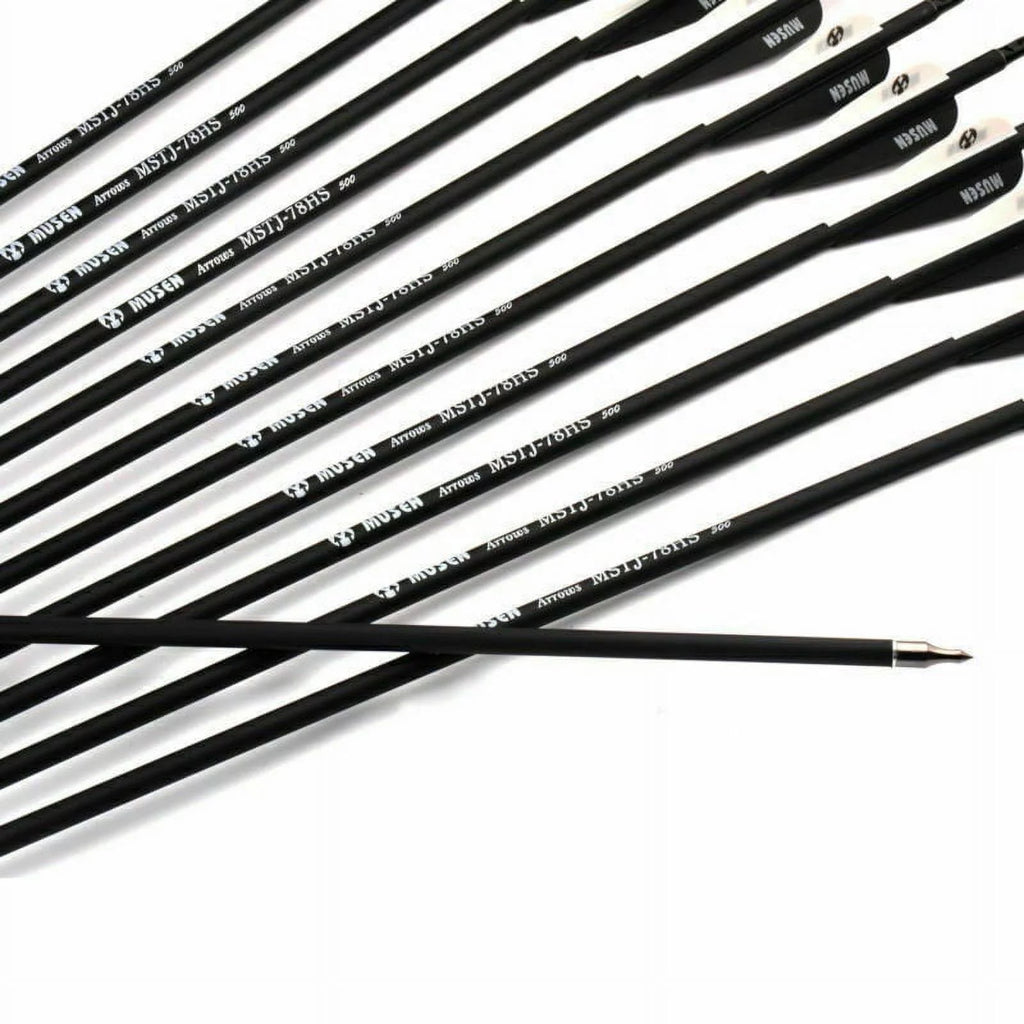 32 inch Carbon Fiber Archery Arrows 12PCS C613