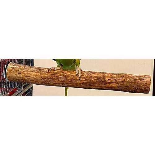 Hardwood Bird Perch D46892