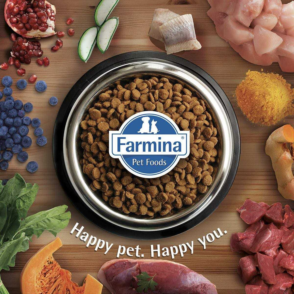 Quinoa Dog Food V594