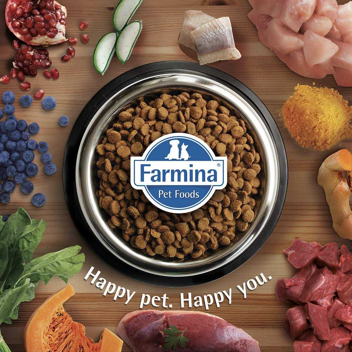 Quinoa Dog Food V594