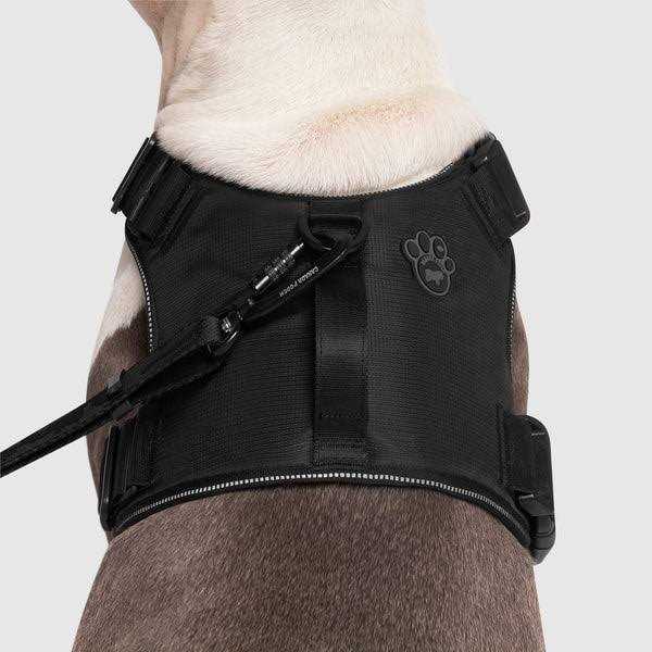 Complete Control Dog Harness N323340
