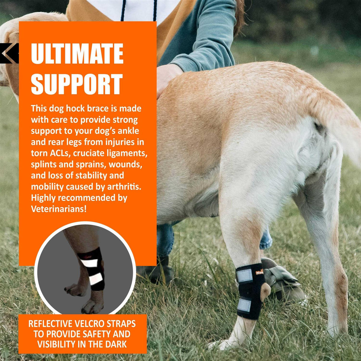 Dog Rear Leg Hock Ankle Support with Reflective Straps E415