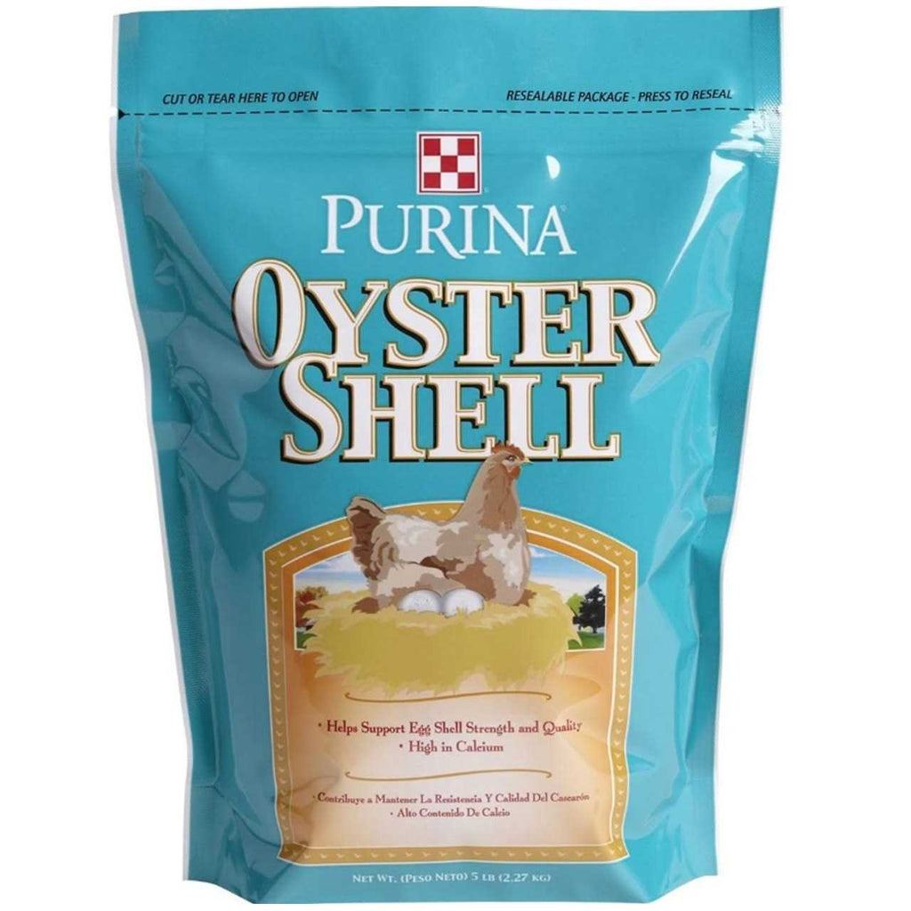 Oyster Shell E5372