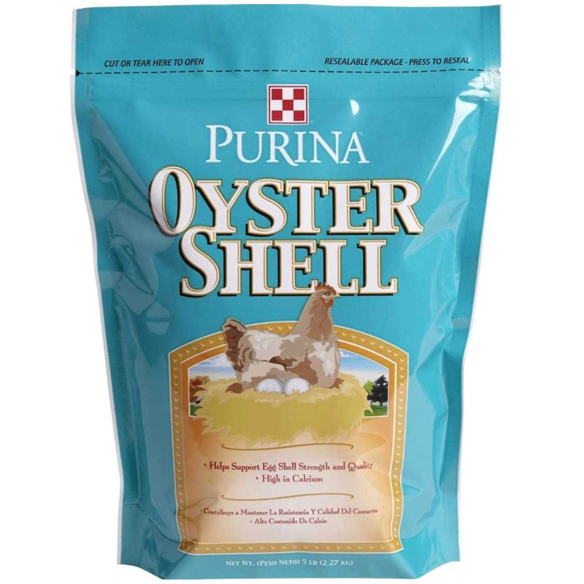 Oyster Shell E5372