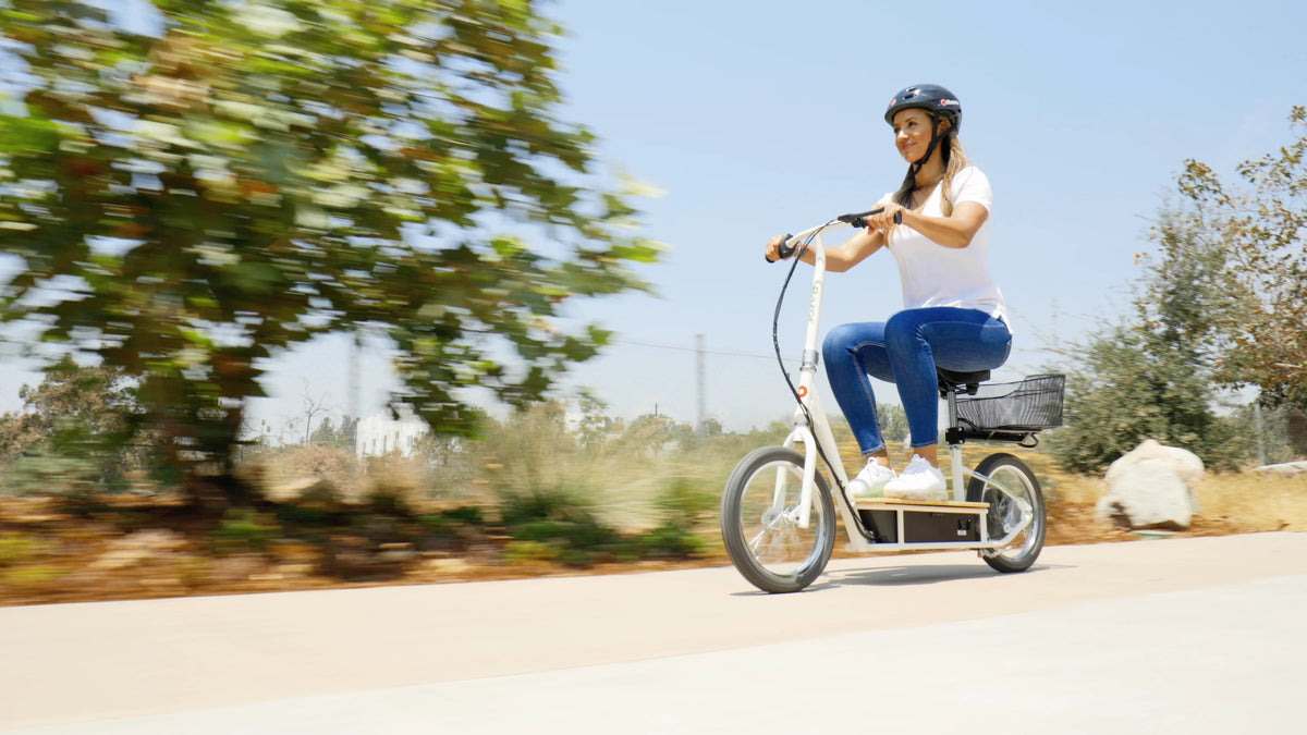 Seated Electric Scooter G7865