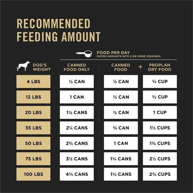 High Protein Wet Dog Food J24729