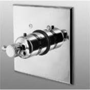 Thermostatic Trim Plate with Handle White O6184