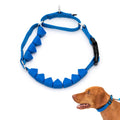 Soft Point Training Collar Q523