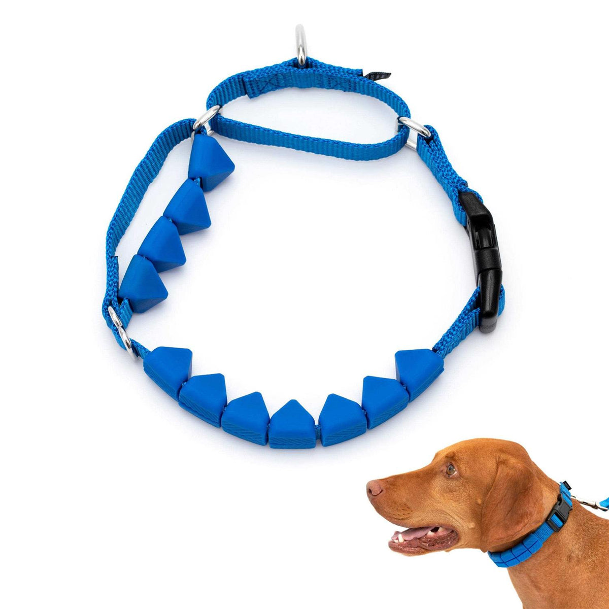 Soft Point Training Collar Q523