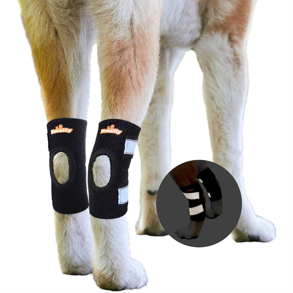 Dog Rear Leg Hock Ankle Support with Reflective Straps E415