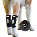 Dog Rear Leg Hock Ankle Support with Reflective Straps E415