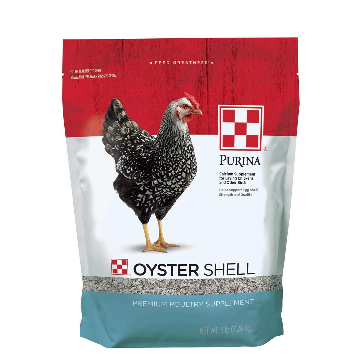 Oyster Shell E5372