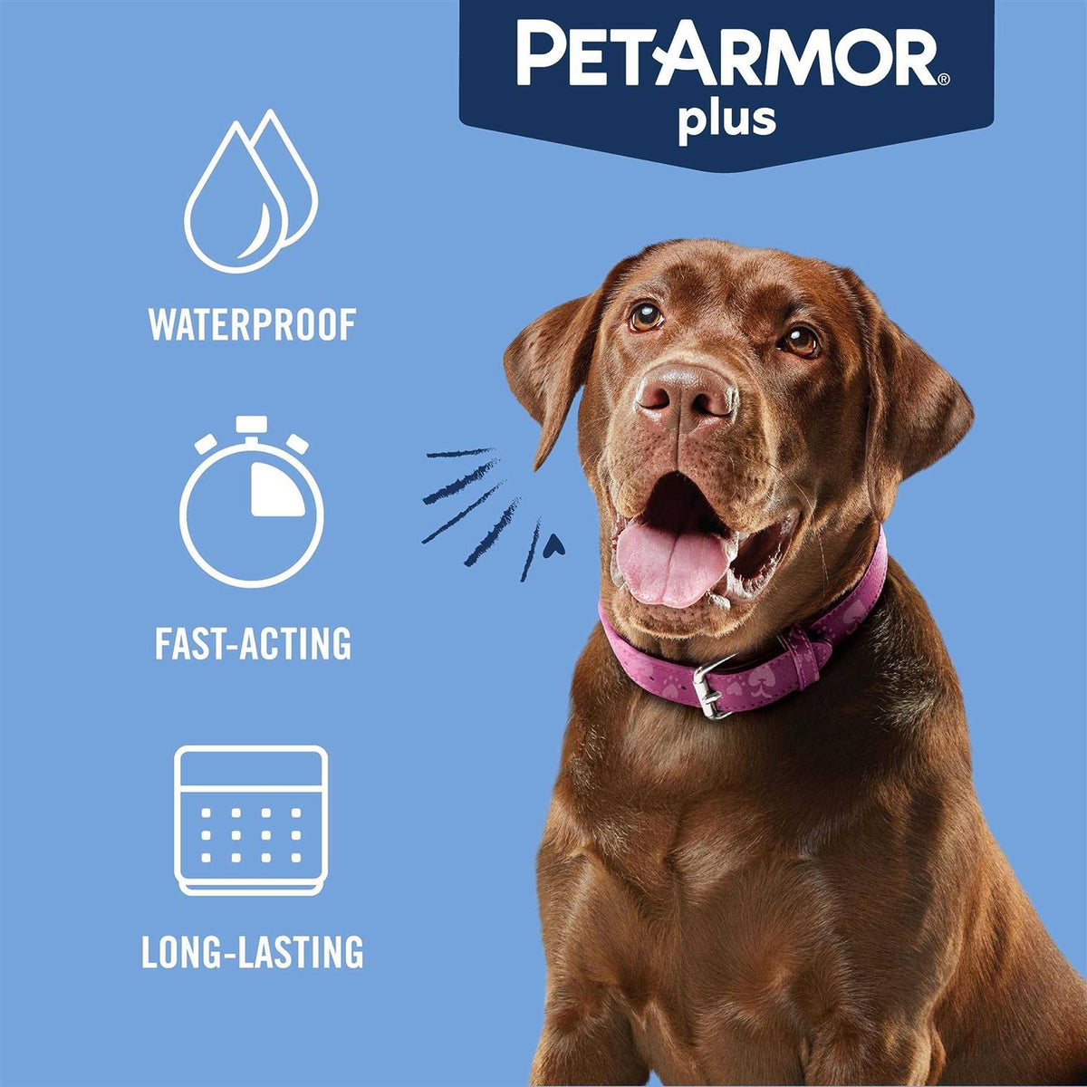 Flea and Tick Treatment for Large Dogs G145294