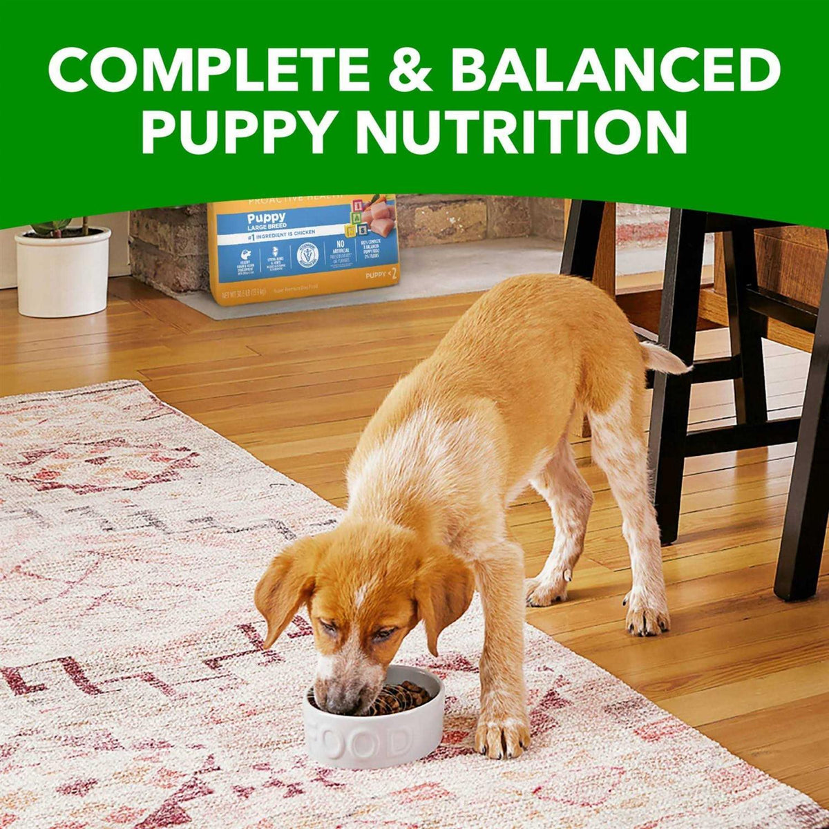 Large Breed Dry Dog Food Q41175