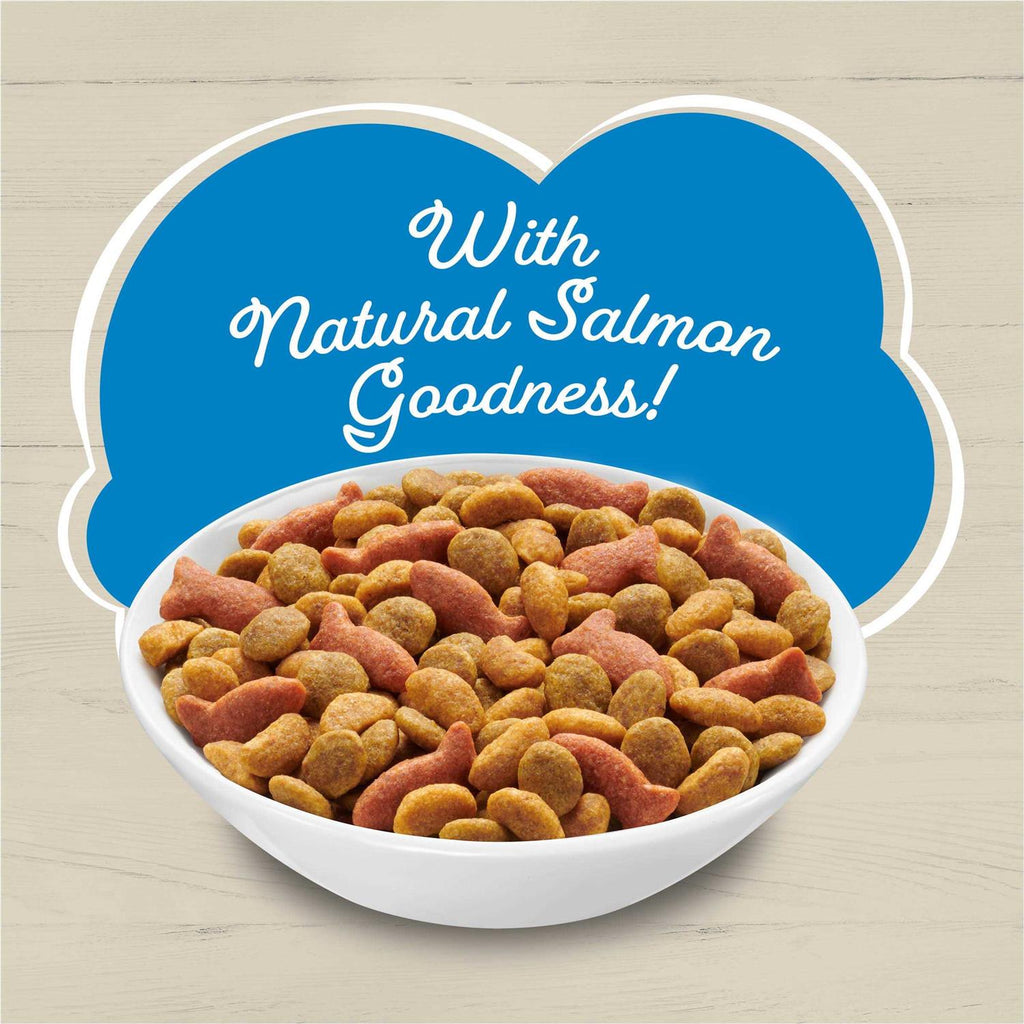 Dry Cat Food With Salmon C103704