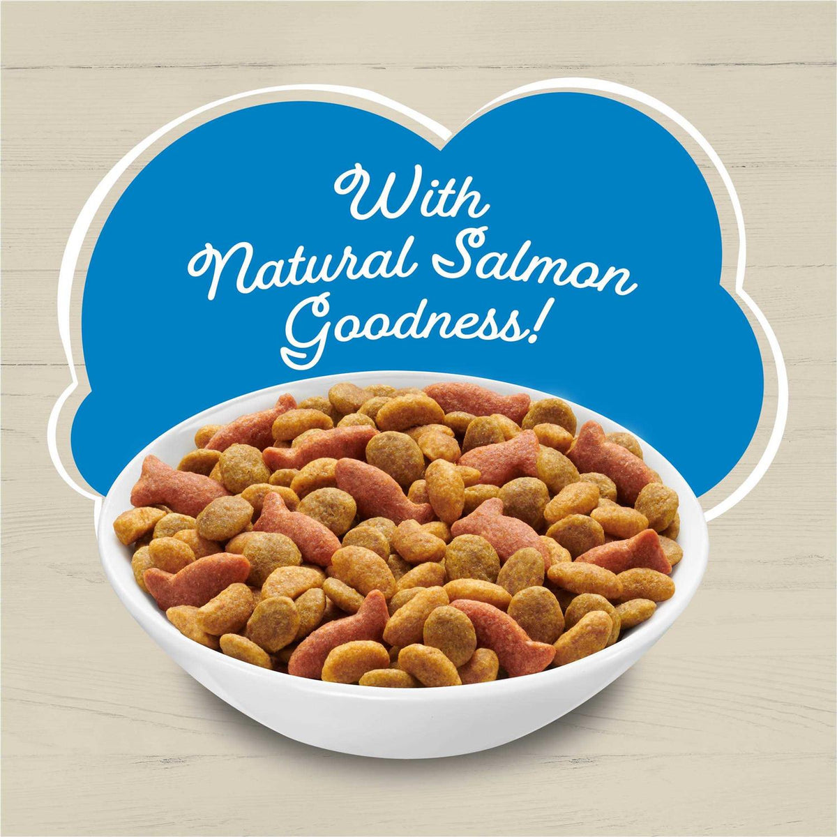 Dry Cat Food With Salmon C103704