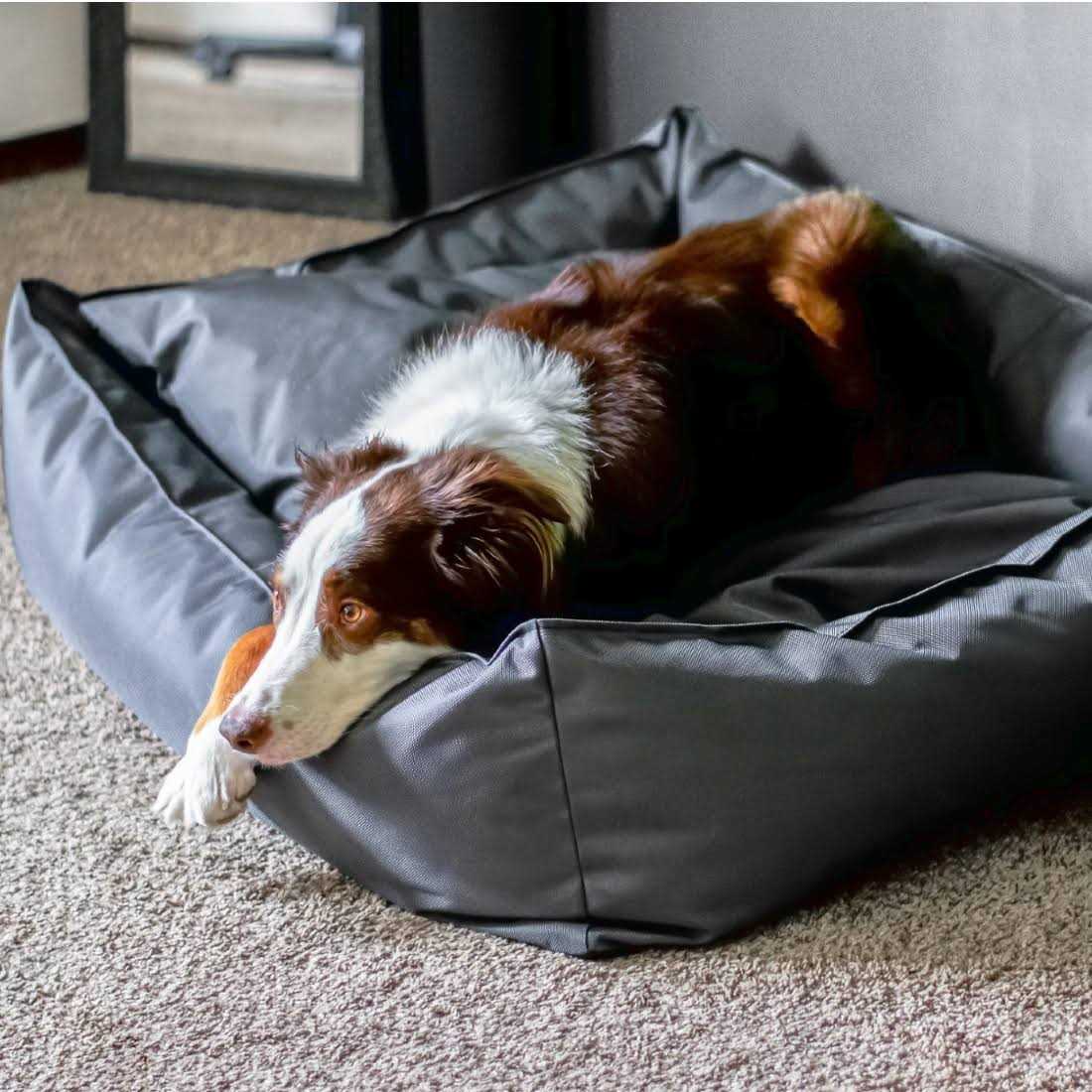 Ballistic Dog Bed H366