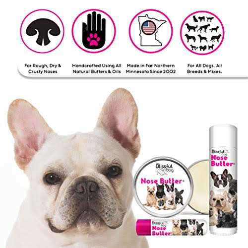 Bulldog Unscented Nose Butter Q866