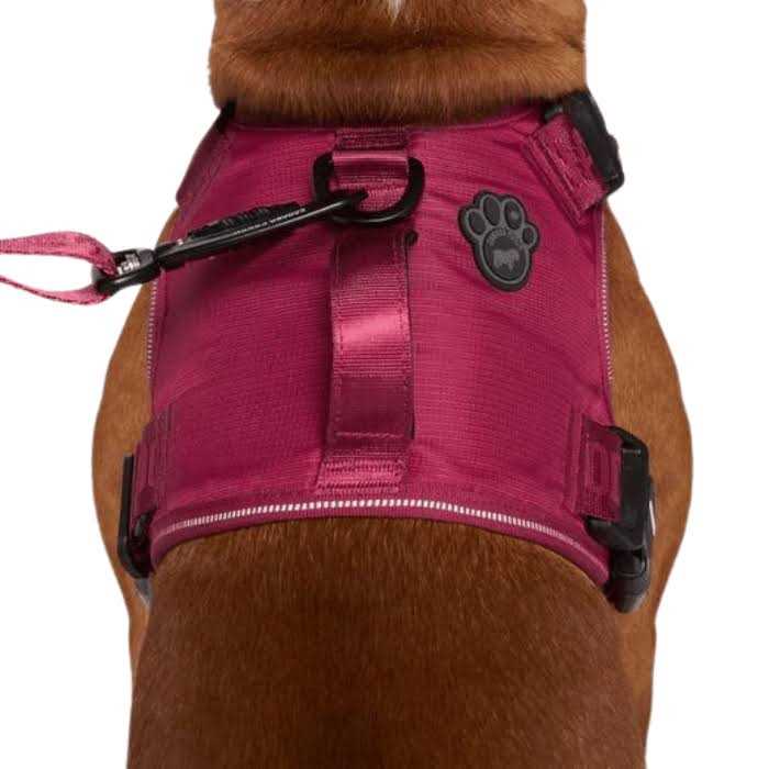 Complete Control Dog Harness N323340