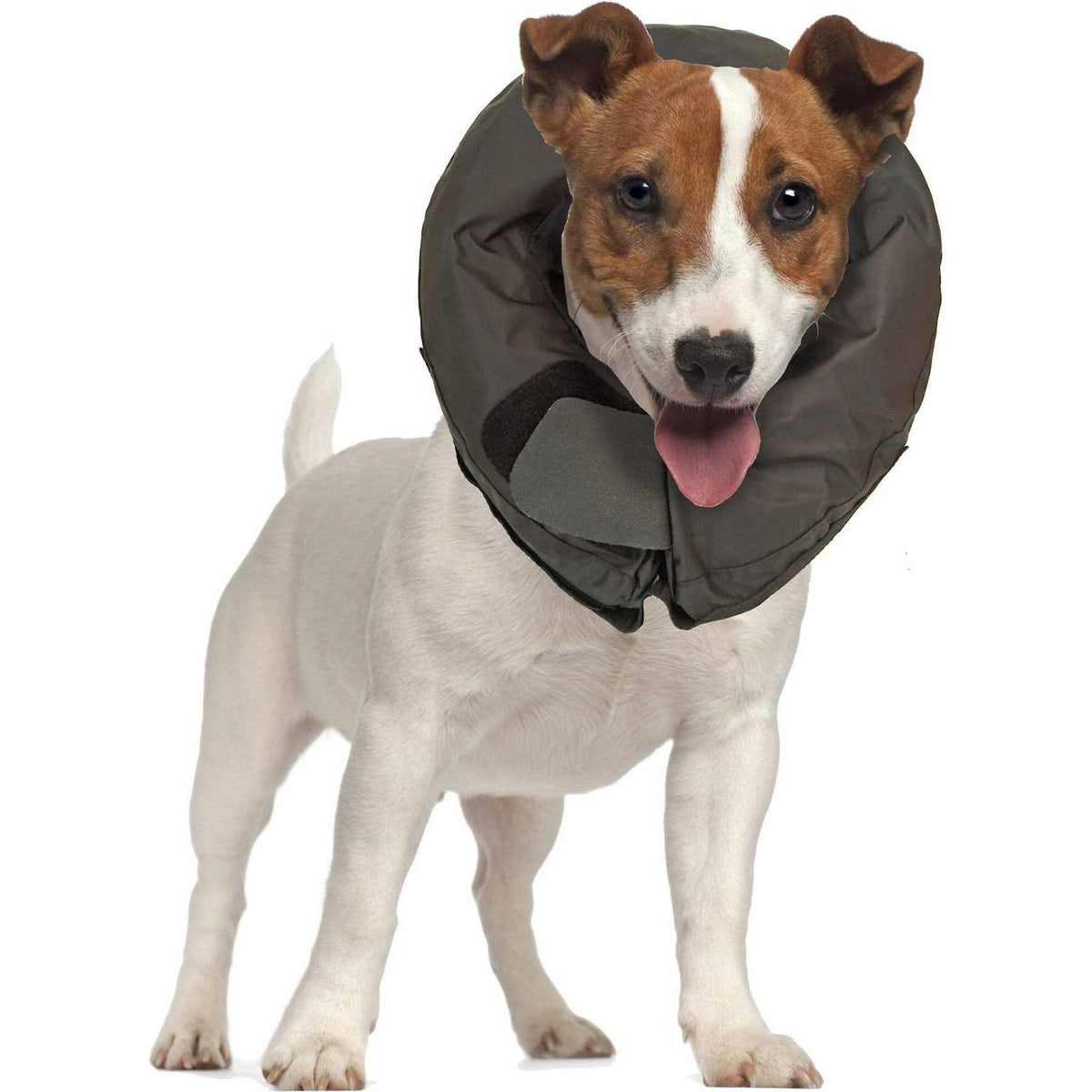 Inflatable Protective Dog Collar D126