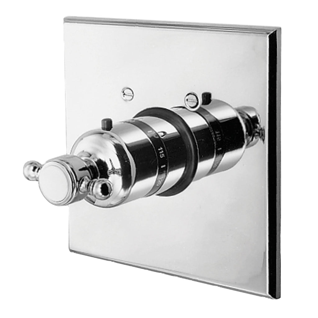 Thermostatic Trim Plate with Handle White O6184