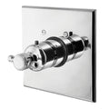 Thermostatic Trim Plate with Handle White O6184