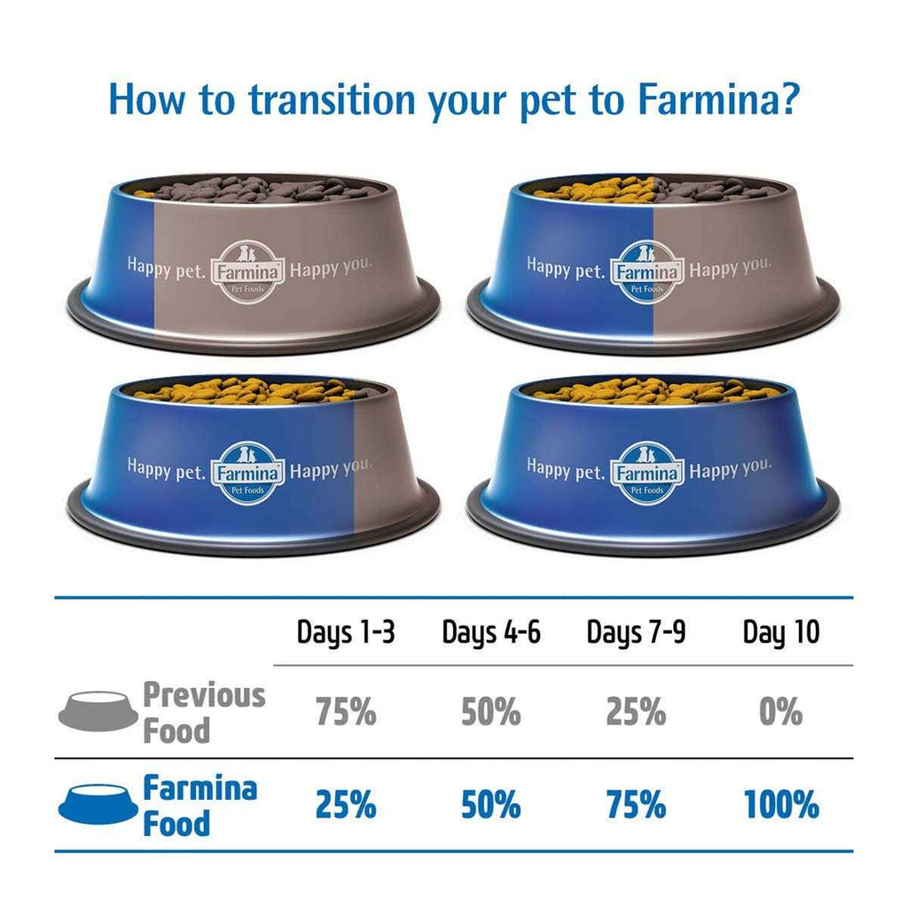 Quinoa Dog Food V594