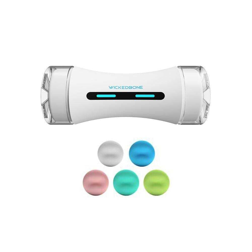 Automatic Interactive Dog Toys K300761