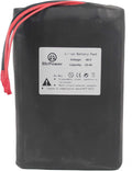48V 10AH-50AH Lithium ion LiFePO4 Battery Pack with 5A Charger and 50A BMS U4868
