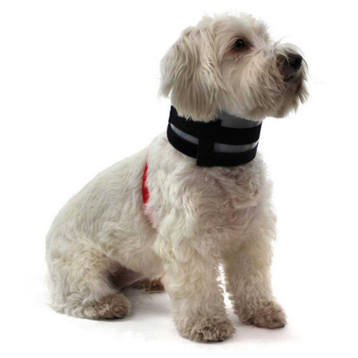 Collar F85105