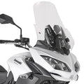 Windshield D540874