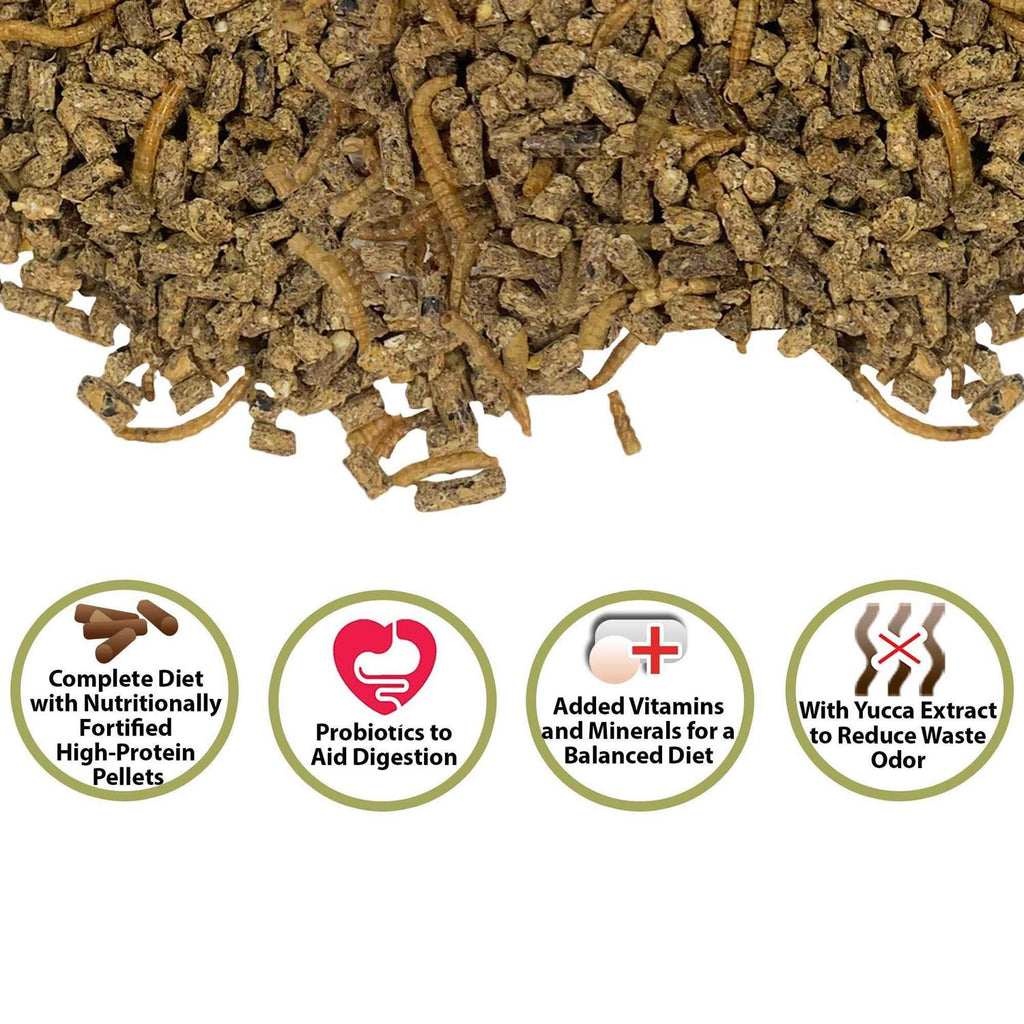 Complete Hedgehog Food O2694