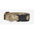 Dog Collar Multicolor A4458