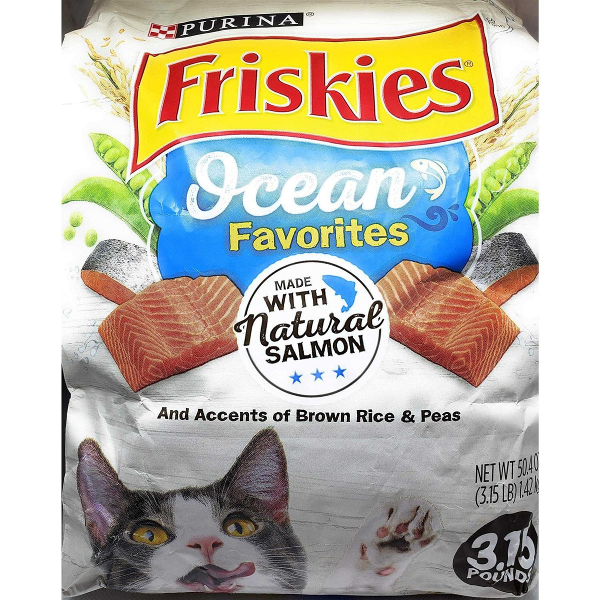 Dry Cat Food With Salmon C103704