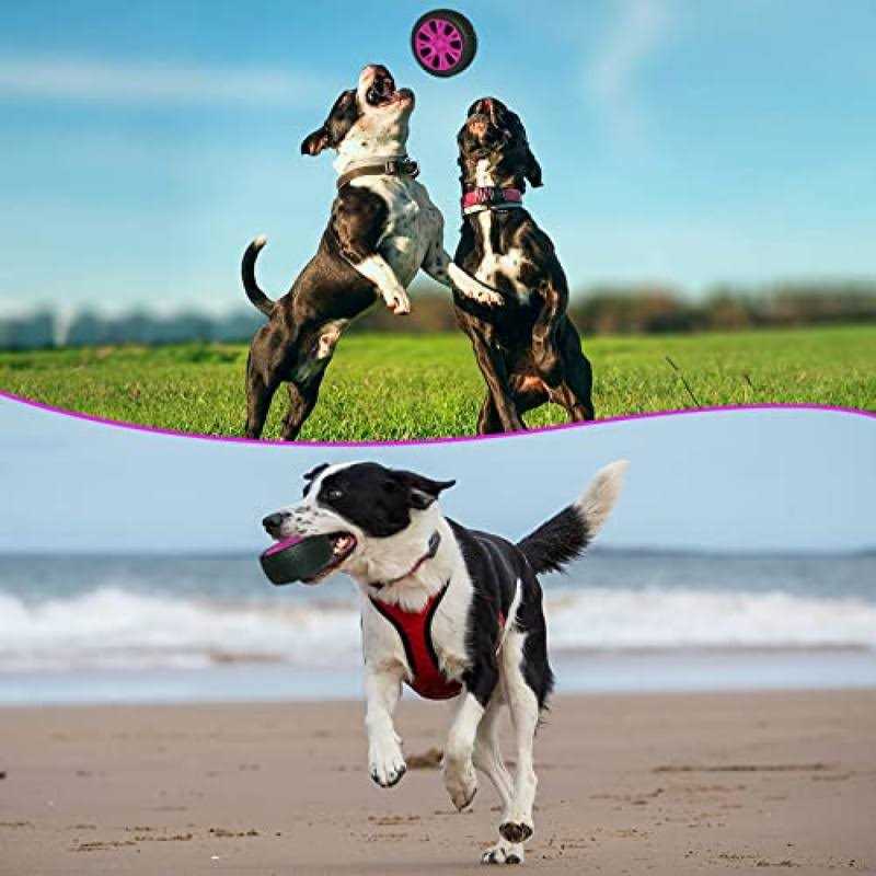 Dog Toy K7771
