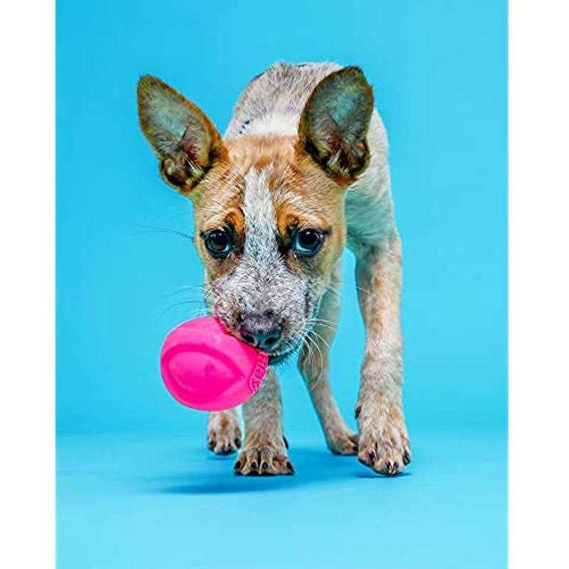 Squeaky Latex Dog Toy P44568