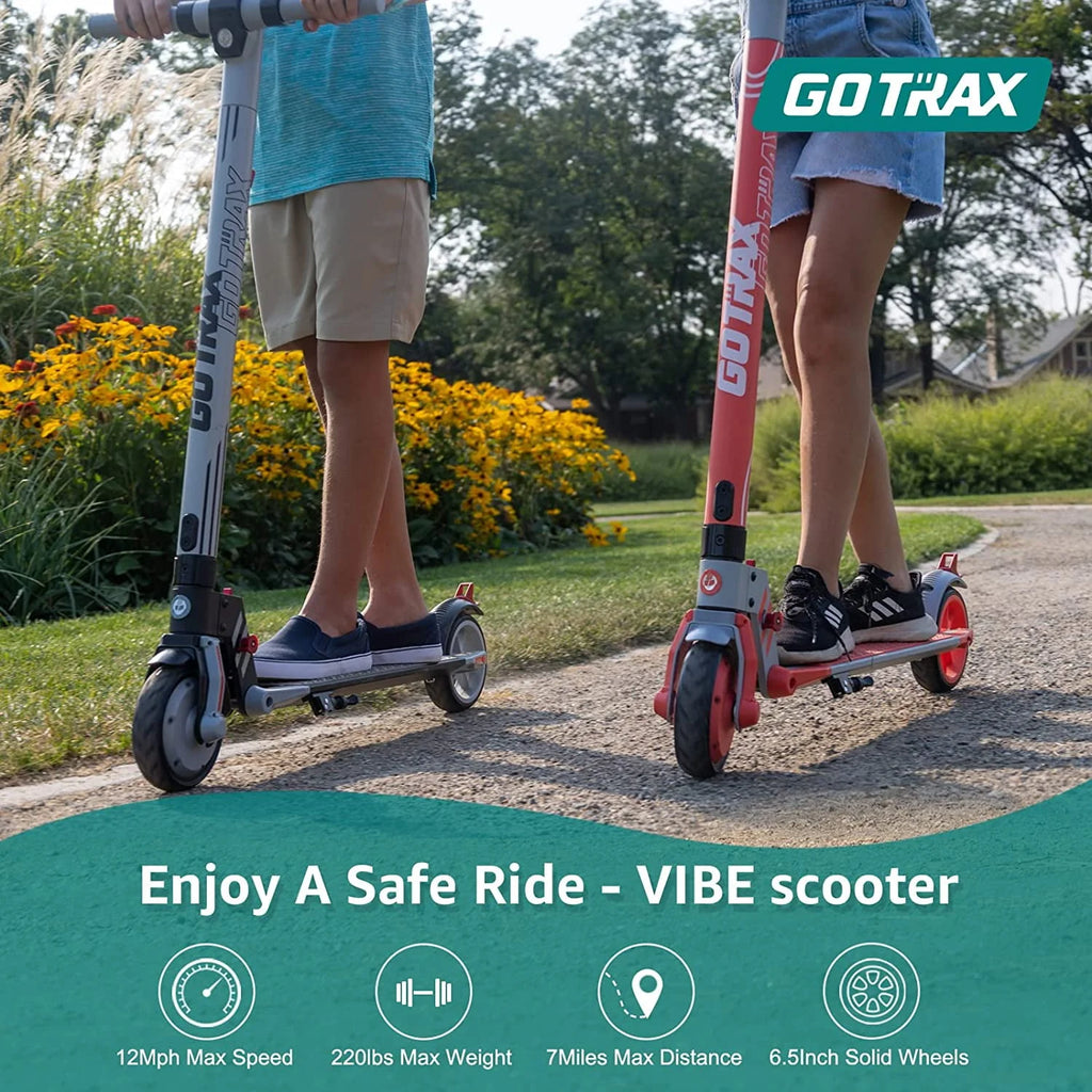 Blue 250W Foldable Electric Scooter P887763