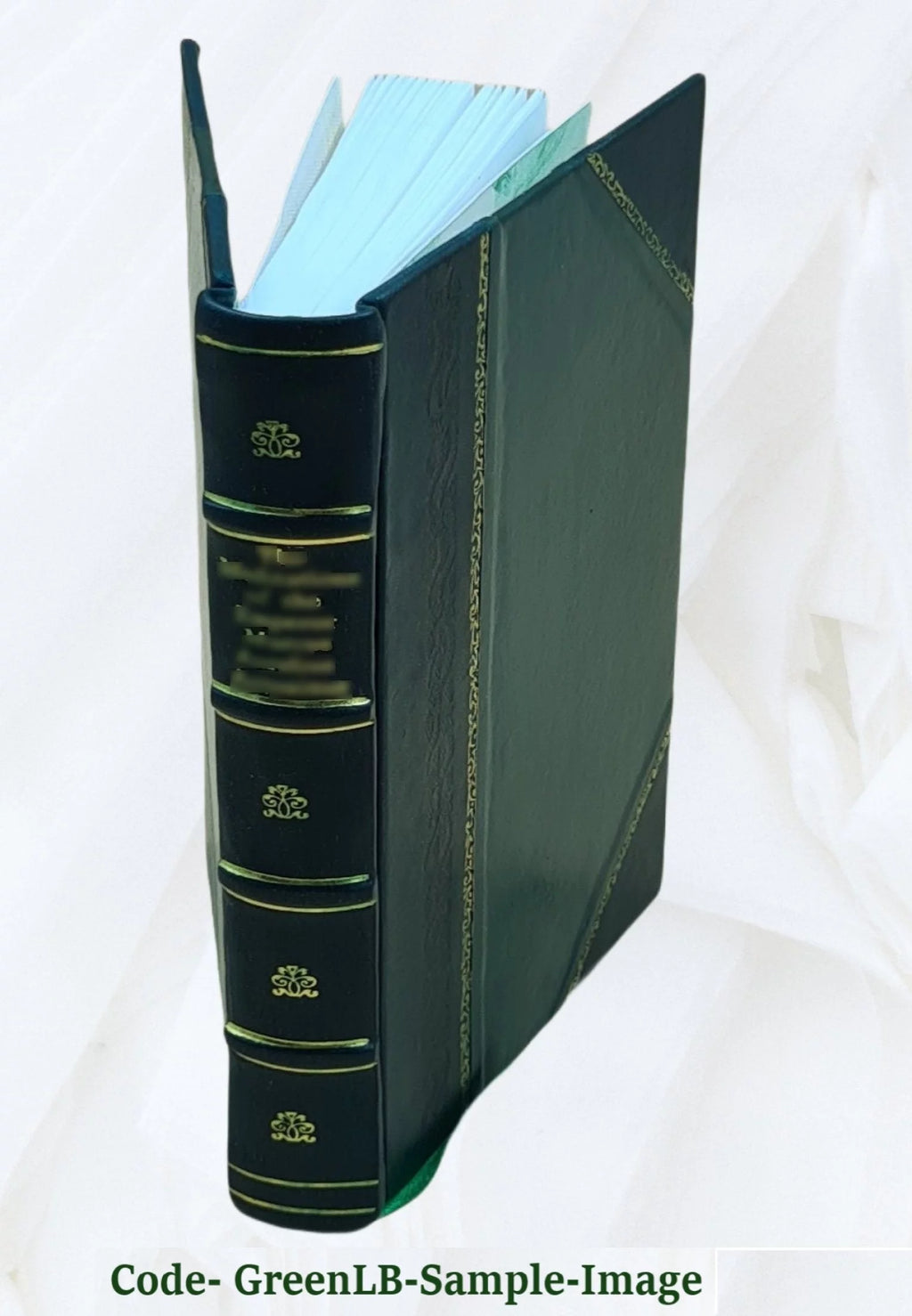 Leather Bound Book W5656