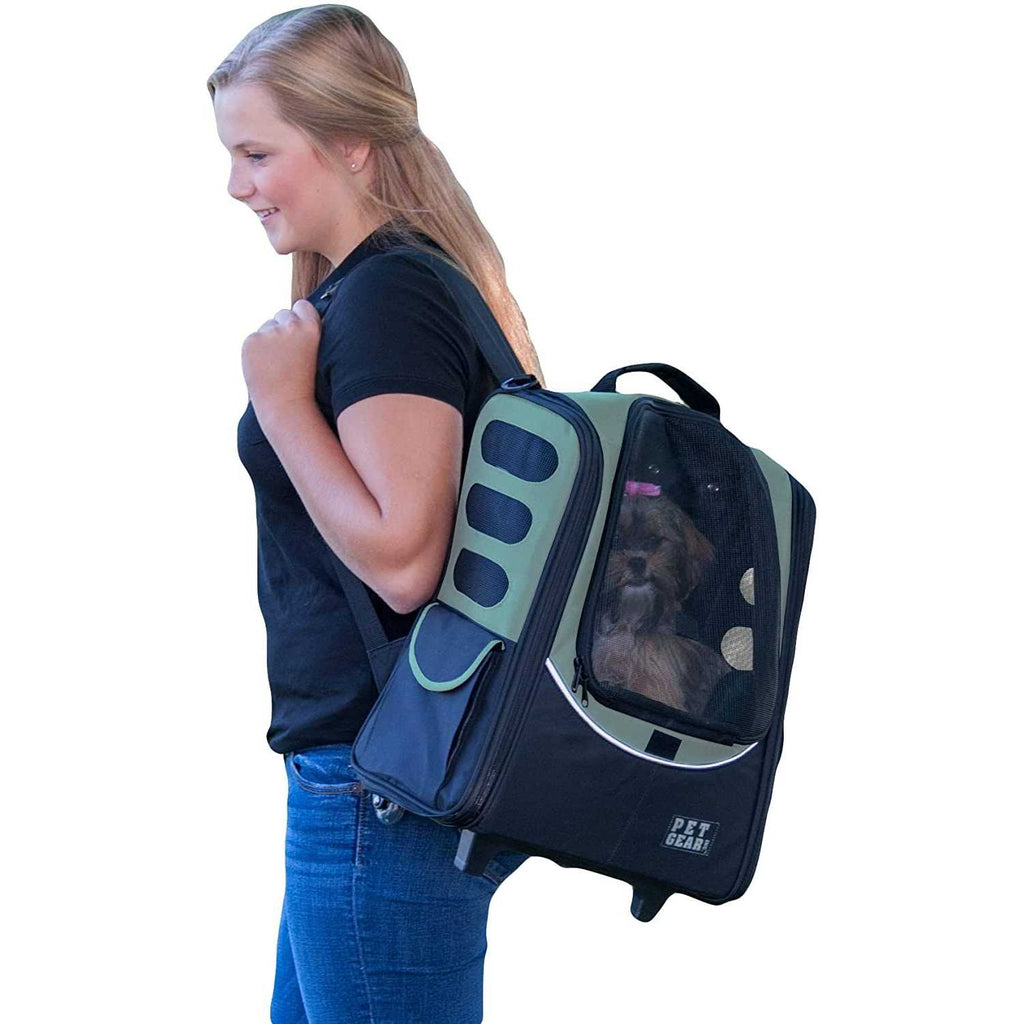 Pet Carrier E464