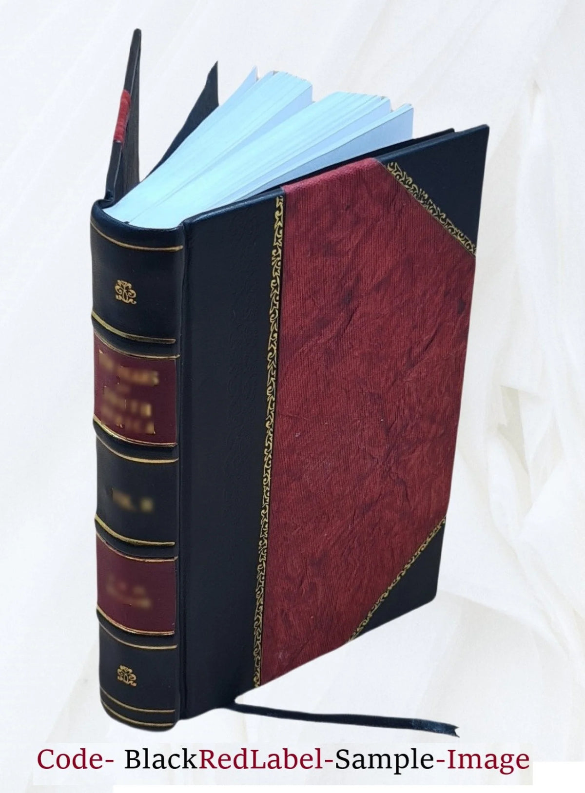 Leather Bound Book W5656